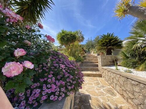 VILLA IBIZA - DICHTBIJ DE ZEE