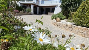 Una casa moderna con un patio de piedra, rodeada de exuberante follaje y flores blancas.