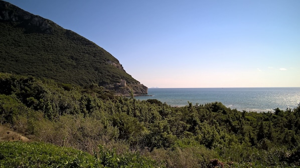 Un paisaje costero con una ladera boscosa y una vista despejada del mar.