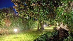 Een goed verlicht tuinpad met een stenen brug, omringd door weelderige begroeiing en bomen.