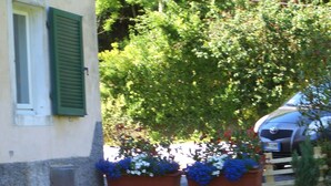Un edificio con persiane verdi, un ingresso lastricato e vasi con fiori bianchi e azzurri.