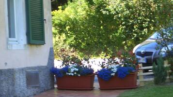 Terrein van de accommodatie