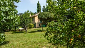 Un jardín con una casa, un banco y un árbol lleno de frutos.
