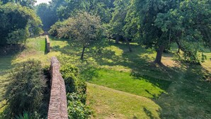 Un jardin luxuriant avec un sentier en briques qui le traverse.