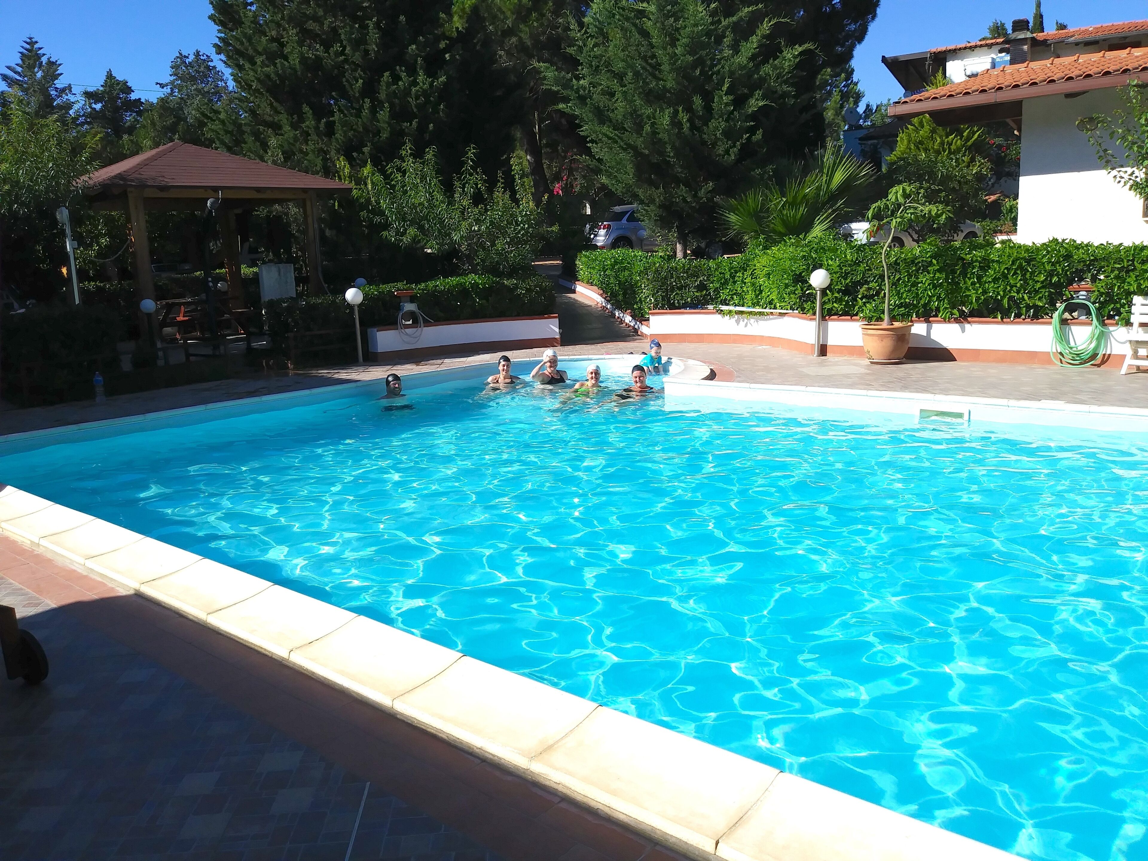 En swimmingpool med klart, blåt vand, omgivet af grønt og en pavillon.
