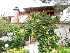 Detalle exterior