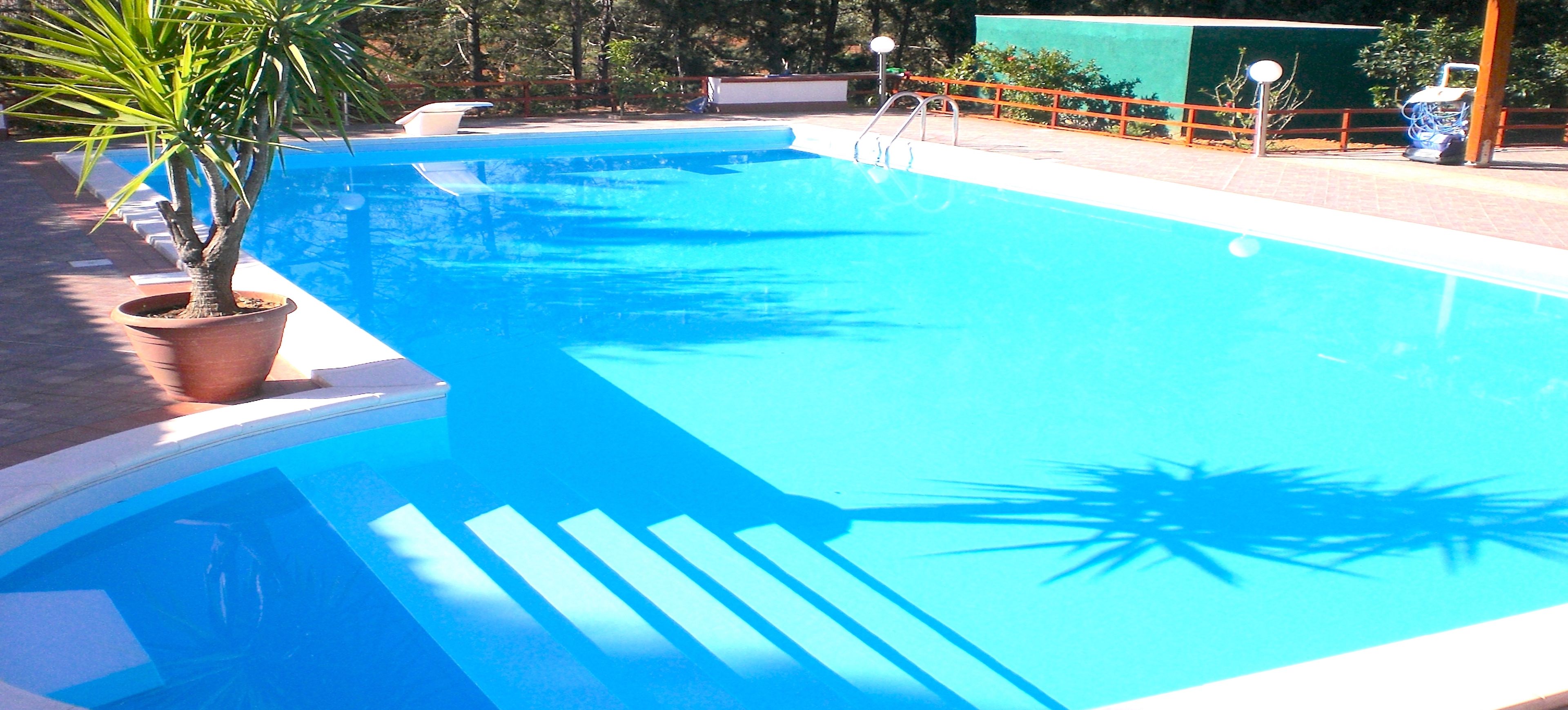 Una piscina con agua azul cristalina, rodeada por una solana con baldosas y una planta en maceta.