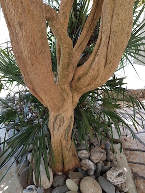 Detalle exterior