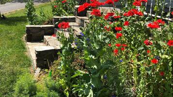 DĂ©tail de lâextĂ©rieur