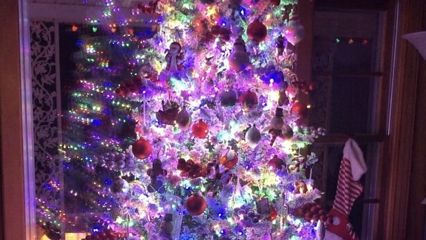 A Christmas tree with multicolored lights and ornaments, placed in a room with wooden flooring and a patterned rug. - Lovely home on 136acre, 13 Miles from North Asheville.  6 miles from BR Parkway (Weaverville)