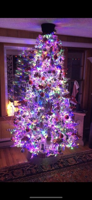 Ein Weihnachtsbaum mit bunten Lichtern und Verzierungen, platziert in einem Raum mit Holzboden und einem gemusterten Teppich.