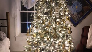 A room with a Christmas tree decorated with lights and ornaments, a ceiling fan, a window with curtains, a framed picture on the wall, and a red chair. - Lovely home on 136acre, 13 Miles from North Asheville.  6 miles from BR Parkway (Weaverville)