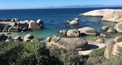 Spend the winter in the Cape of Good Hope