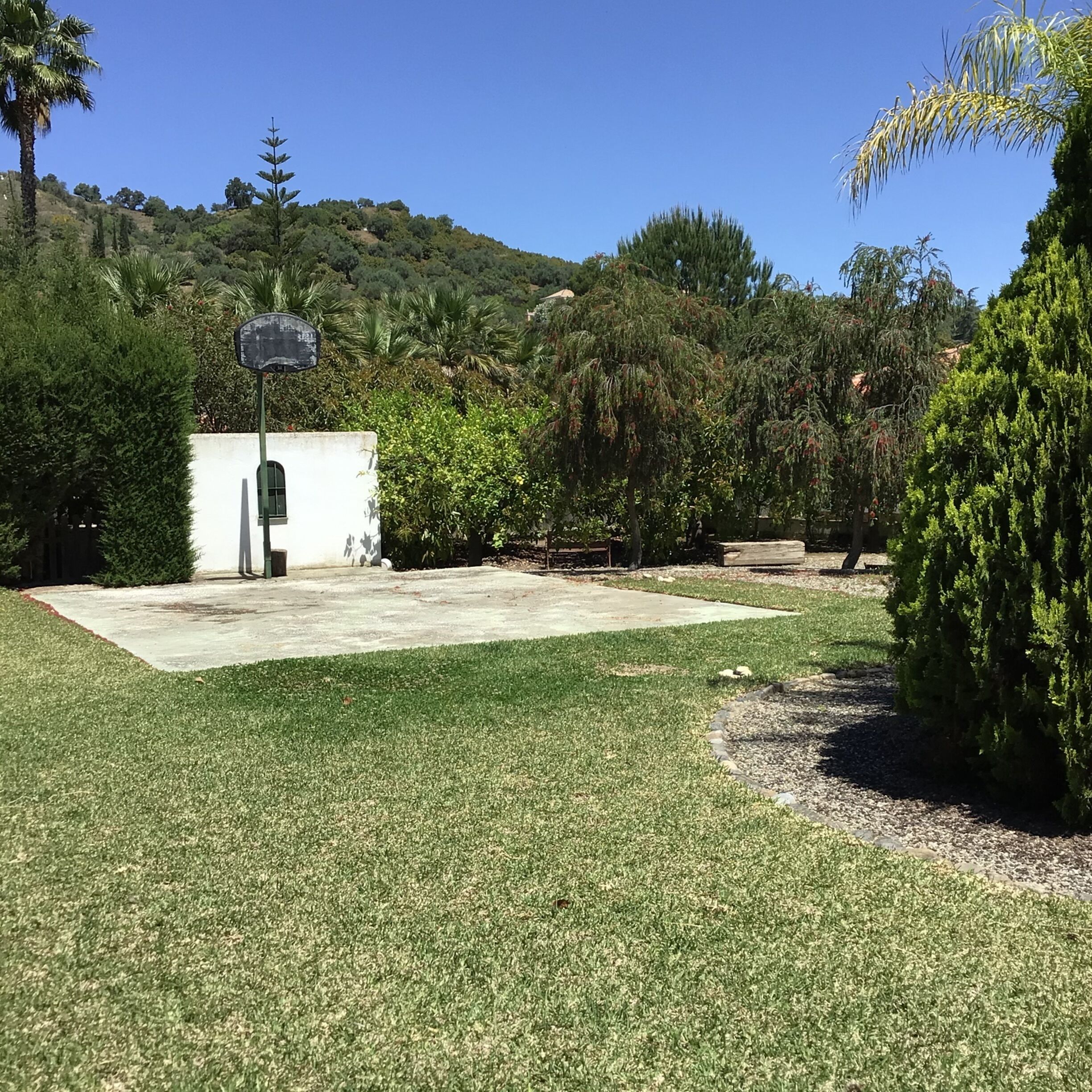 A basketball court with a hoop, surrounded by a grassy area and trees.
