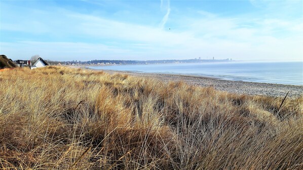 بالقرب من الشاطئ