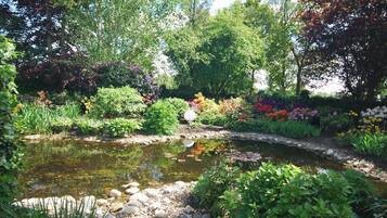 Un jardin avec un étang, entouré de différentes plantes et arbres.