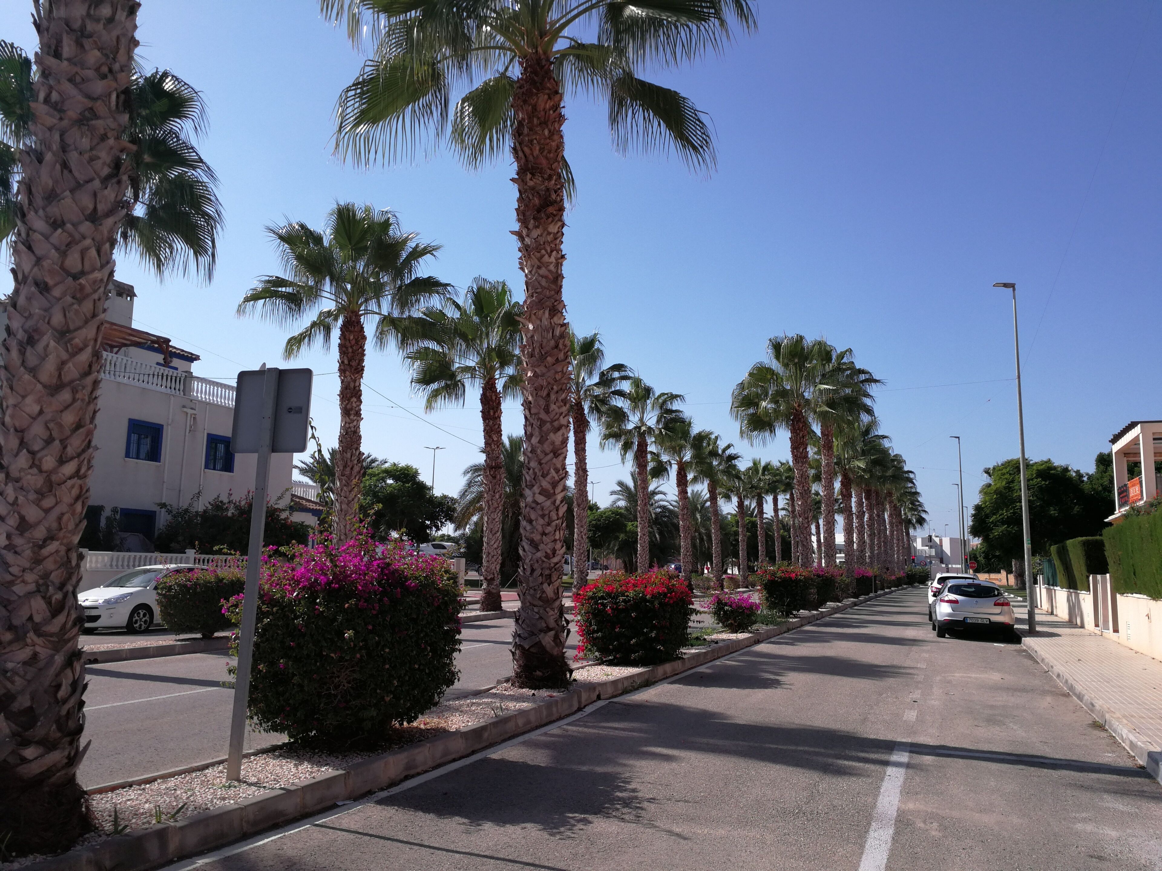 Comfortable apartment / bungalow with garden, covered terrace and pool