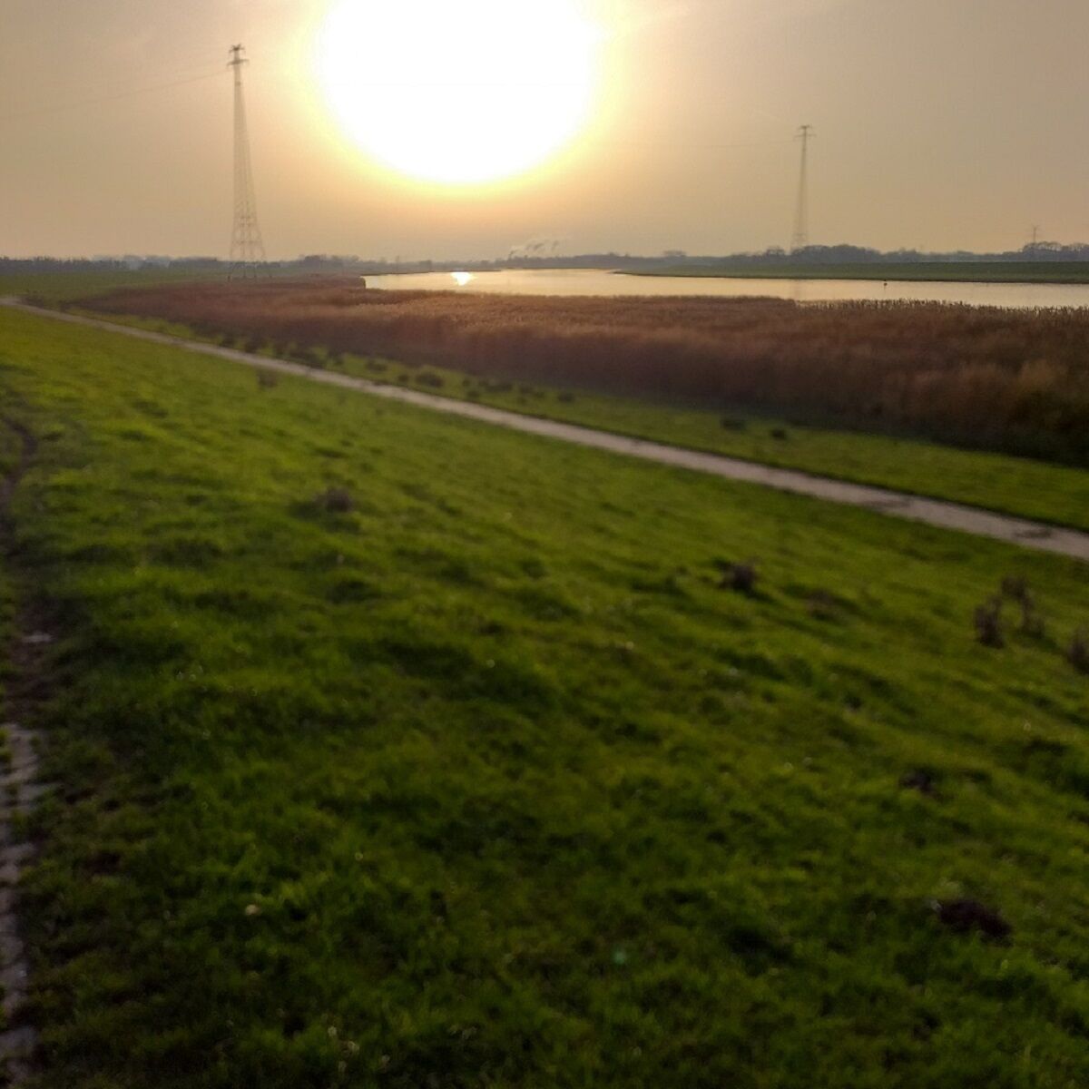 A grassy field with a path leading to a body of water, a transmission tower, and a distant building.