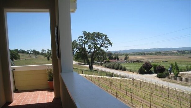 A balcony with a view of a vineyard and a road. - Vineyard Guest House, Fabulous Views and Covered Parking (Paso Robles)