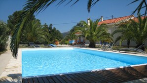 A rectangular swimming pool with a wooden deck in the foreground, surrounded by lounge chairs and palm trees. - Holiday home with private pool at the foot of the Pyrenees and near the beach (Laroque-Des-Albères)