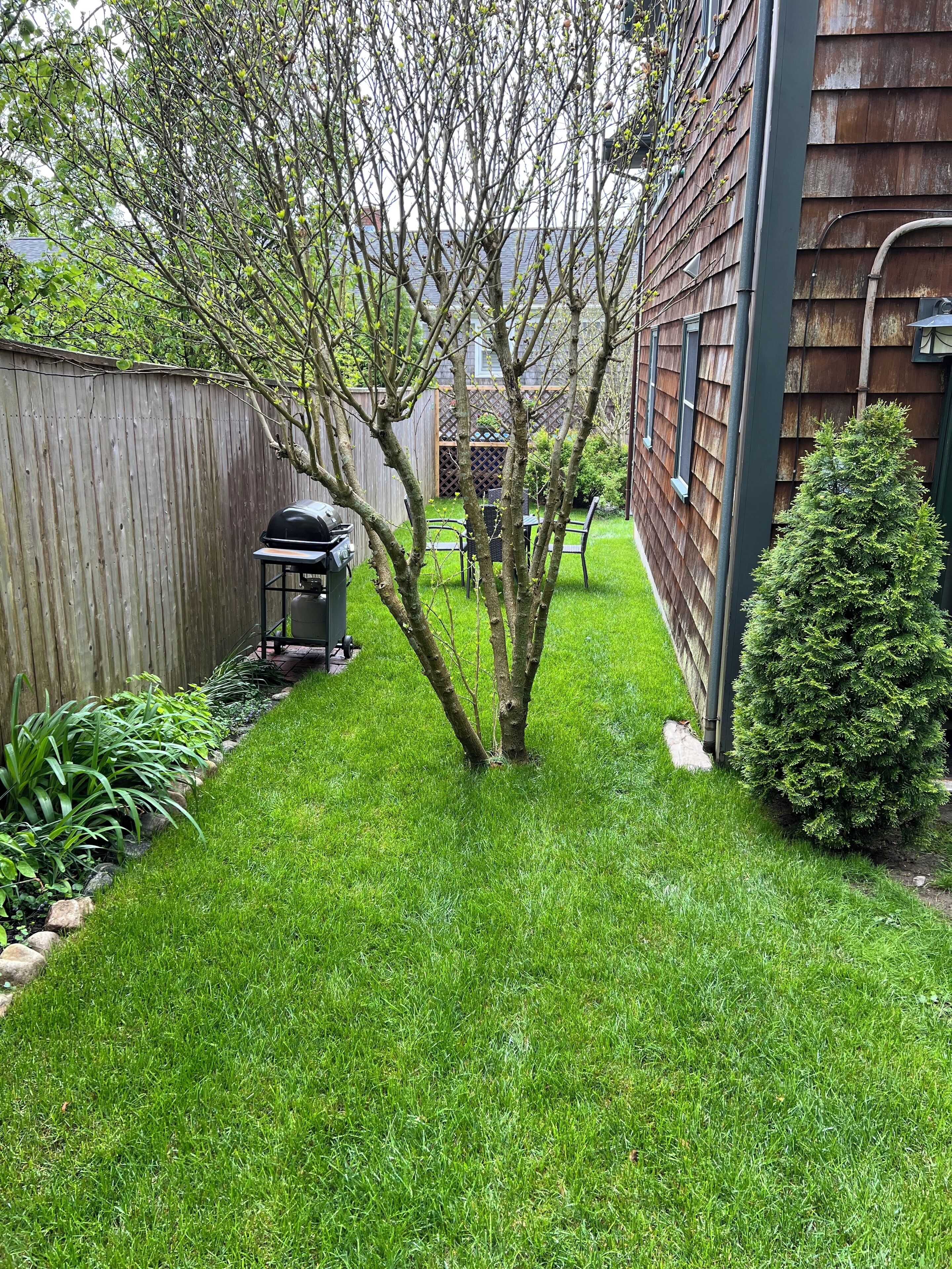 Àrea exterior de l'allotjament