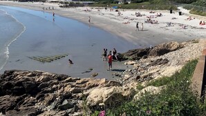 A beach with people walking and relaxing. There are rocks and plants near the water.