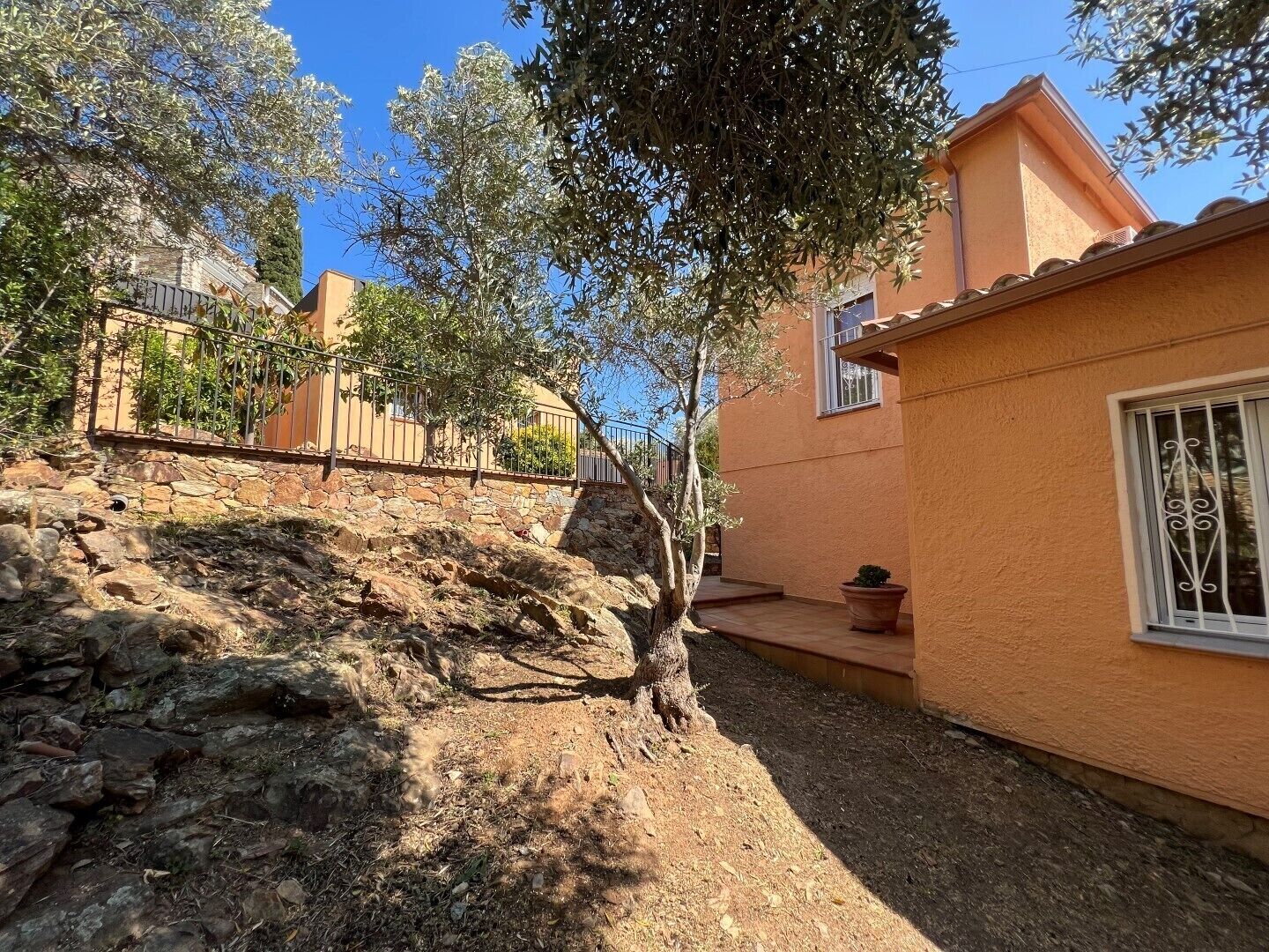 Un patio con muro de piedra, un árbol y un edificio con tejado de tejas.