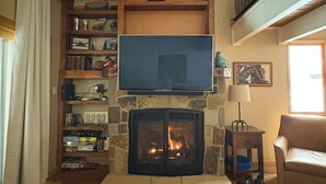 Smart TV, fireplace, DVD player, video library