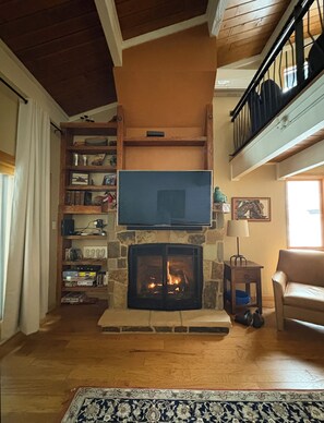 Smart TV, fireplace, DVD player, video library
