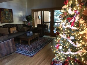 Smart TV, caminetto, lettore DVD, videoteca