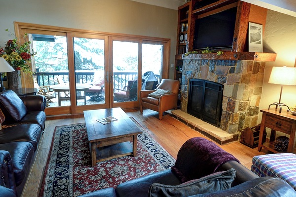 Smart TV, fireplace, DVD player, video library