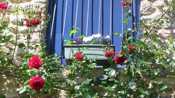 DĂ©tail de lâextĂ©rieur