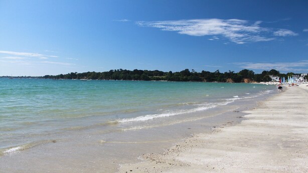 A beach with clear water, a sandy shore, and a forested hill in the background.