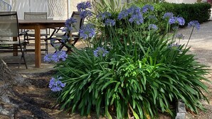 Een tuin met een houten tafel en stoelen, omringd door weelderige begroeiing en paarse bloemen.