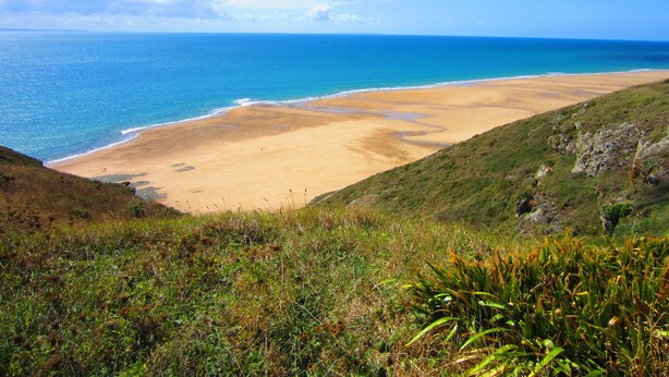 Eine Küstenlandschaft mit Sandstrand und sanften Hügeln.