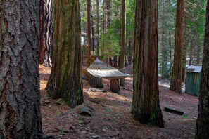 Property grounds - Hibernation Hideaway- Inside Yosemite- Dog Friendly! (Wawona)