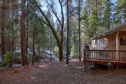 Hibernation Hideaway- Inside Yosemite- Dog Friendly!