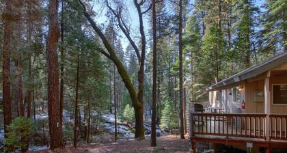 Hibernation Hideaway- Inside Yosemite- Dog Friendly!