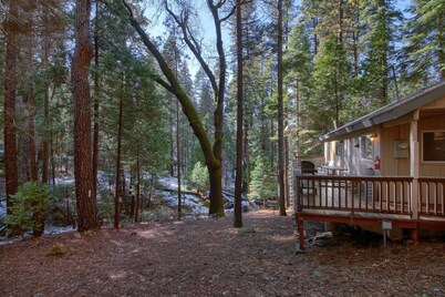 Hibernation Hideaway- Inside Yosemite- Dog Friendly!