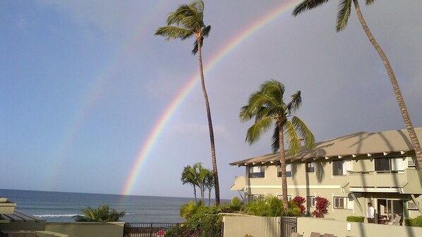 Property grounds - Welcome to our small piece of paradise on the island of Maui! (Kihei)