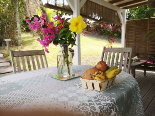  F2 furnished, spacious, comfortable, terrace, private entrance and garden, DIDIER