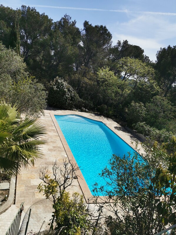 Uma piscina retangular rodeada por um terraço de pedra, com vegetação densa e árvores ao fundo.