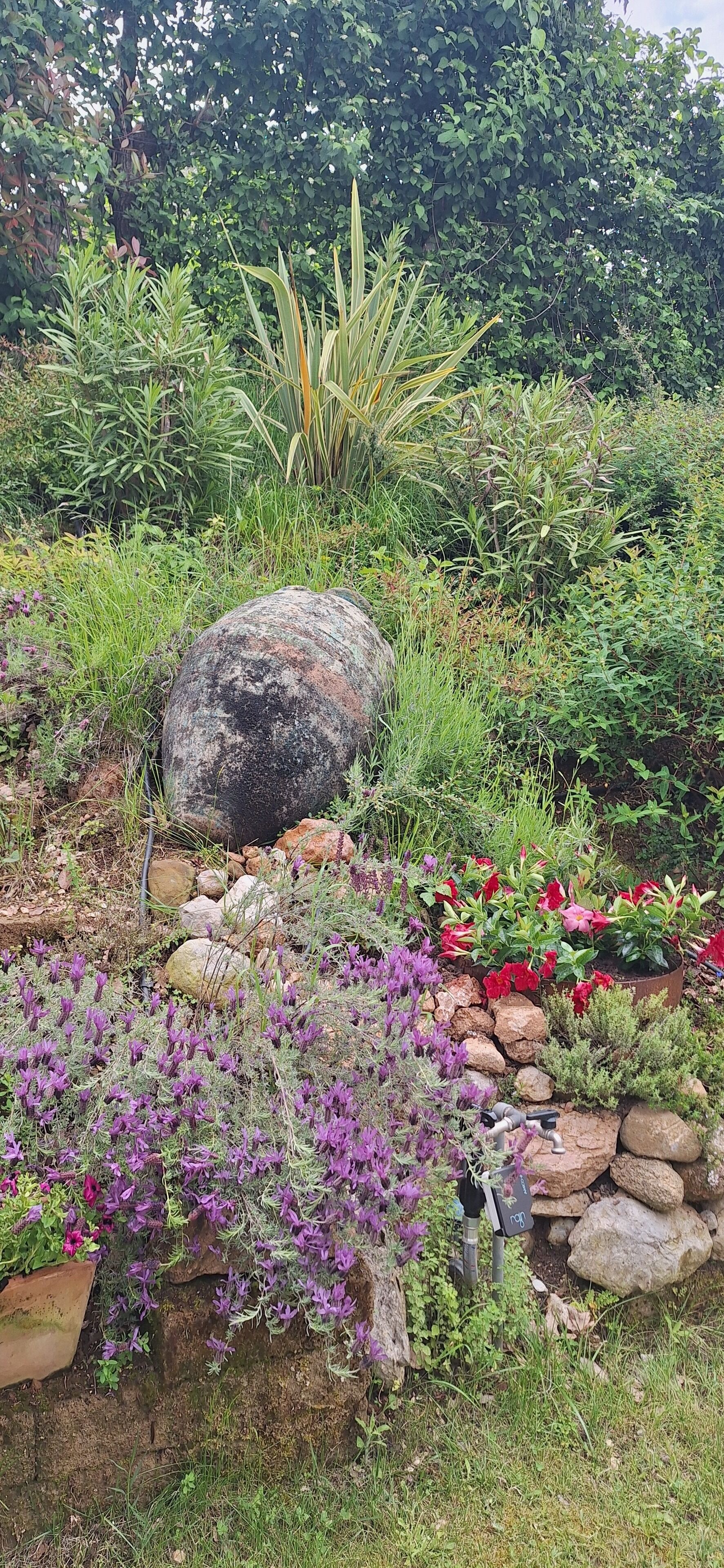 A garden with a variety of plants, a large rock, and a small stream.