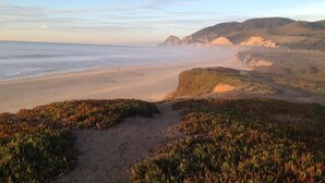 A coastal landscape with a sandy beach, grassy areas, and rocky cliffs.