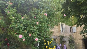 A garden with roses, yellow flowers, and purple irises in front of a stone building with a window. - Into the wild: Charming house, surrounded by nature, large private pool. (Romeyer)