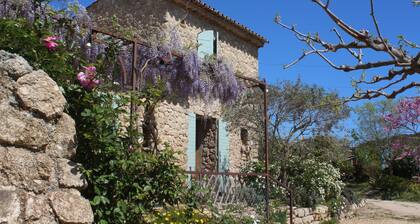 Maison typique en pierres avec jardin dans un hameau calme au milieu des vignes