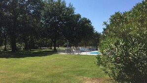 Un espace verdoyant avec une piscine et des chaises longues, entouré d’arbres.