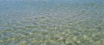 LITTLE HOUSE ATTACHED TO THE VILLA FAVIERE; Bormes