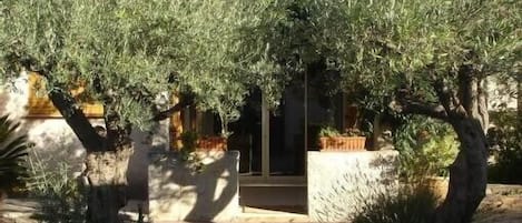 Detalle del exterior