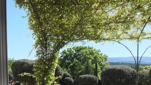 Un balcón con banca de madera, una bandeja con tazas y una planta, y vista a un jardín cuidado con setos y árboles.